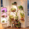 51" 8 Tier Curved Plant Stand with Grow Lights